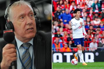 Sky Sports' Martin Tyler slammed for 'racist' comment about Spurs star Son